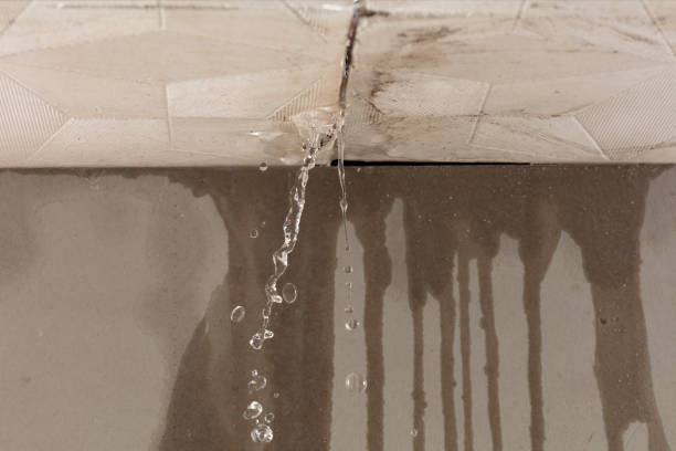 Professional Structural Drying technician working in Whitinsville, MA